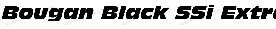 Bougan Black SSi Extra Bold Italic字体转换